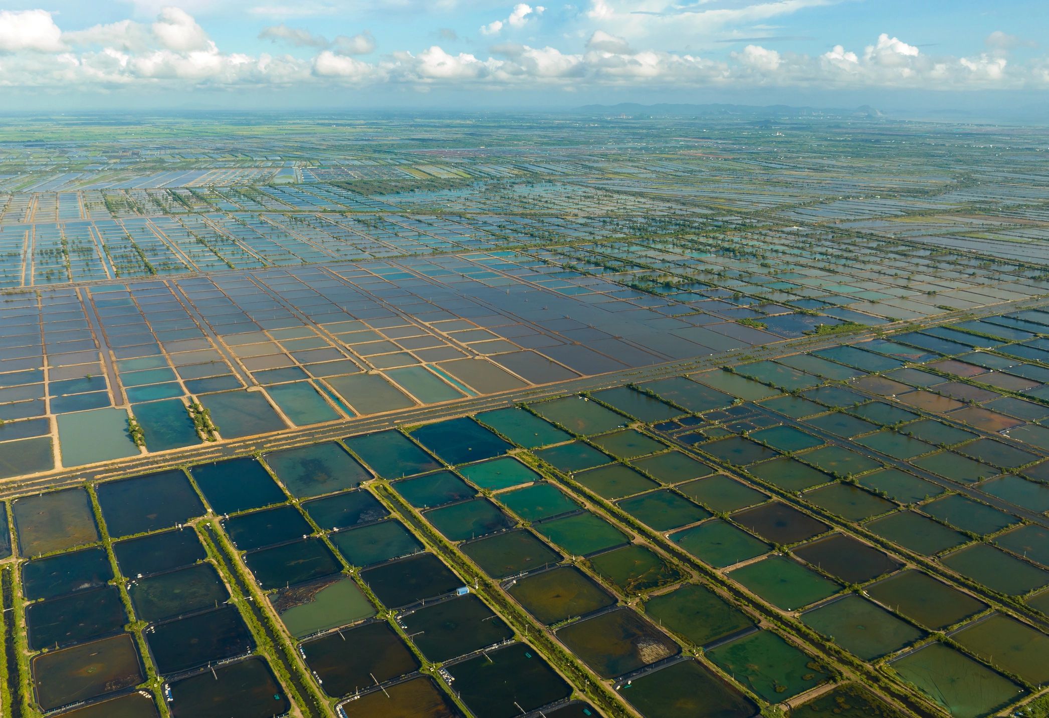 Aerial agricultural operations representing shared industry risk exposure