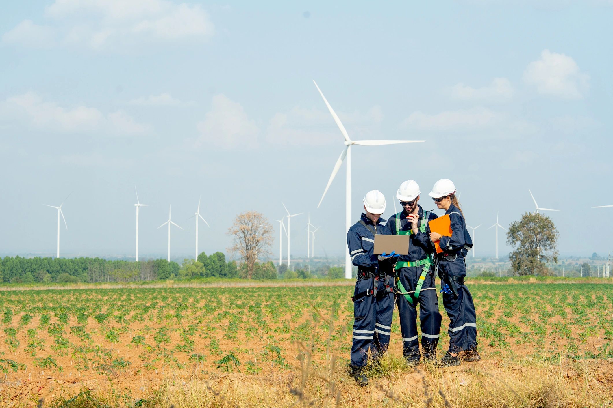 Professionals reviewing renewable energy infrastructure plans in the field